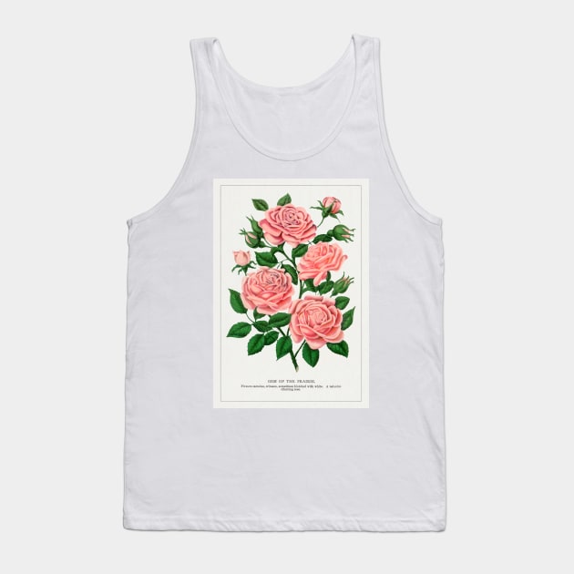 Pink rose, Gem of the Prairie lithograph (1900) Tank Top by WAITE-SMITH VINTAGE ART